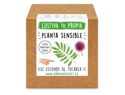 Kit Plantio Planta Sensível, Garden Pocket