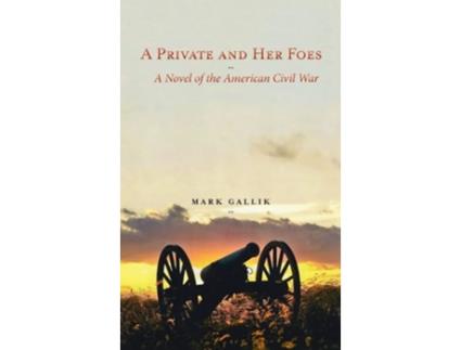 Livro A Private And Her Foes A Novel Of The American Civil War De Mark Gallik (inglês - Capa Dura)