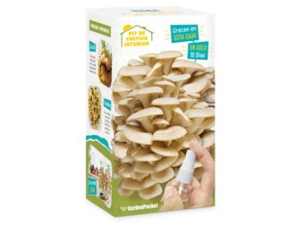 Kit Autocultivo Setas Pocket Grande