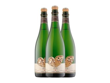 Espumante ALBET I NOYA Efecte Ancestral Natural Xarel·lo Penedès (0.75 L - 3 Unidades)