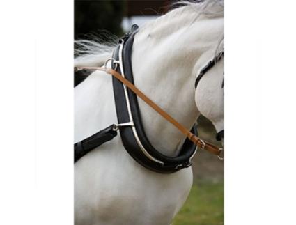 Colarinho Preto 48 Cmhispano Hipica