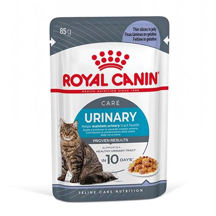 Royal Canin FCN Urinary Care em gelatina - 24 x 85 g