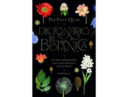 Livro Diccionario De Botánica de Pío Font Quer (Español)