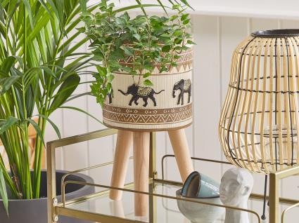 Suporte para vasos 22 x 22 x 23 cm creme e castanho KOTTES