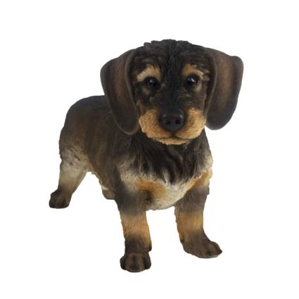 Dachshund pelo de arame 50x15x27,8 cm