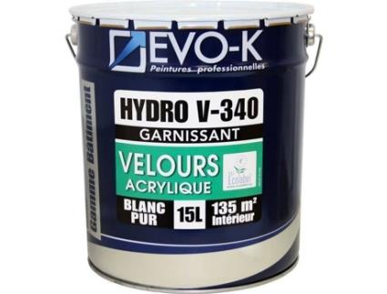 Tinta para Parede e Teto  EVRAVECO0000015L