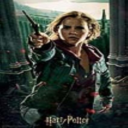 Puzzle 3D Harry Potter Hermione Granger Battle  (300 pcs)