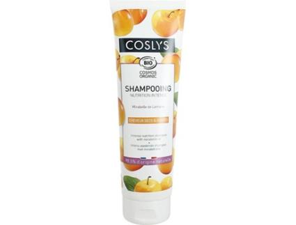 Champô  Cabelo Muito Seco e Danificado (250 ml)