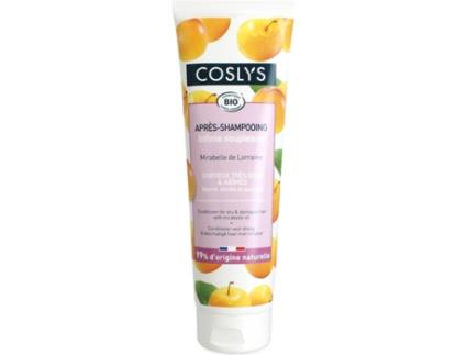 Condicionador  Seco e Danificado (250 ml)