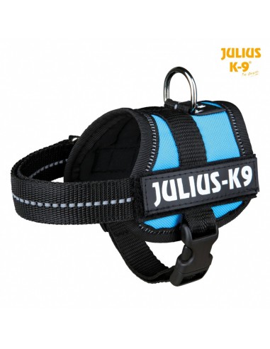 Peitoral Para Cães Julius-k9® Baby Xs Xs Azul Turquesa - Peitoral Para Cães