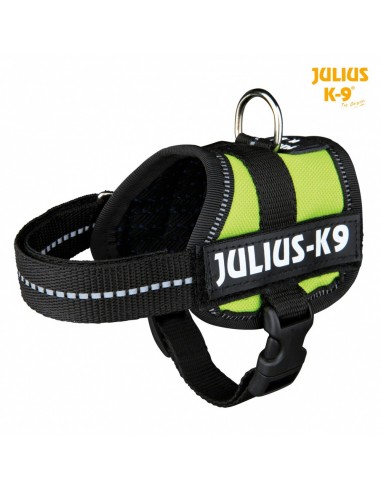 Peitoral Para Cães Julius-k9® Baby Xs S Verde Lima - Peitoral Para Cães
