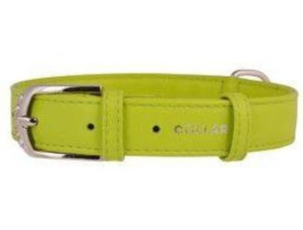 Coleira para Cães  Glamour (Verde - 18-21 x 9 cm - Couro)