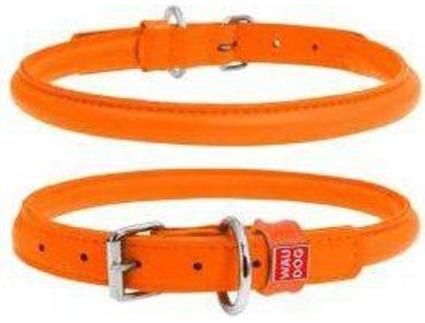 Coleira para Cães  Glamour (Laranja - 45-53 x 1.3 cm - Couro)
