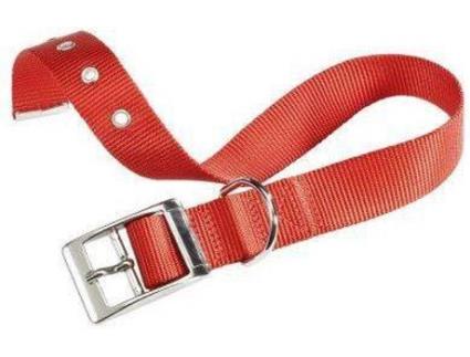 Coleira para Cães  Clube (35-43 x 2 cm - Nylon)