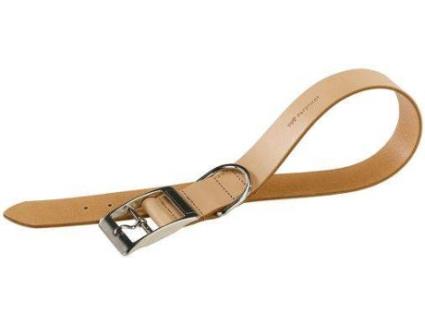 Coleira para Cães  Natural (Castanho - 35-43 x 2 cm - Couro)