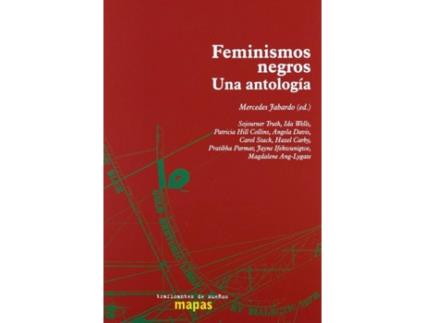 Livro Feminismos Negros. Una Antologia de Mercedes Jabardo (Espanhol)