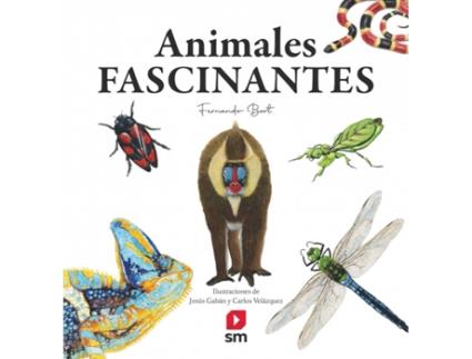 Livro Animales Fascinantes de Fernando Bort Misol (Espanhol)