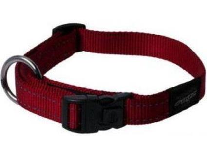 Coleira para Cães  Ajustável (43-70 x 2.5 cm - Nylon)
