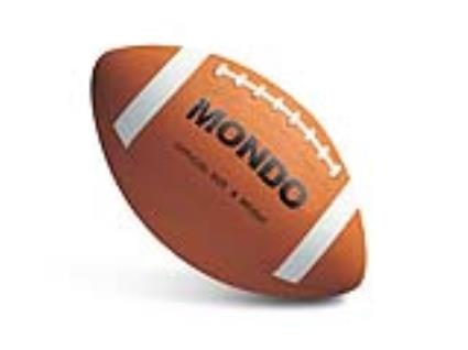 Bola de Rugby