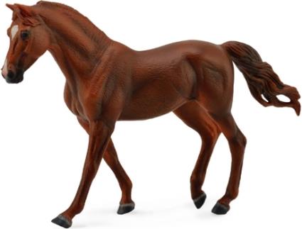 Figura  Missouri Fox Trotte Mare castanha