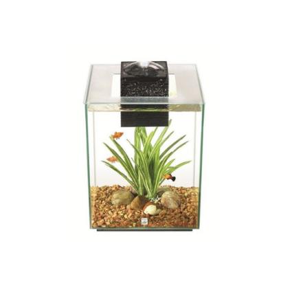 Aquário Fluval Chi 19 L