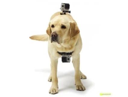 Pet Harness câmera