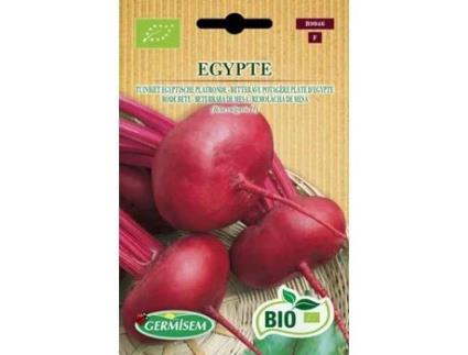 Sementes  Bio Sementes Beterraba Egipto