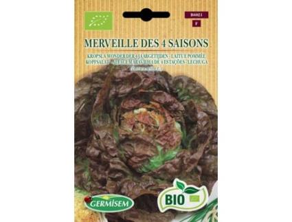 Sementes  Bio Sementes Alface Maravilha De 4 Estações
