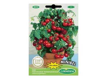 Sementes  Tomate Cereja Para Vasos Minibel