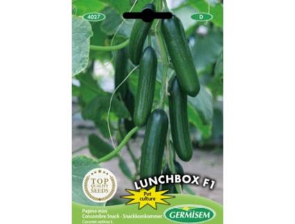 Sementes  Pepino Snack Lunchbox F1