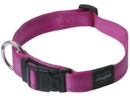 Coleira para Cães  Ajustável (Rosa - 43-70 x 2.5 cm - Nylon)
