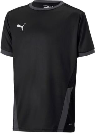 Camisola  teamGOAL 23 Jersey Jr 70416003 Tamanho 116
