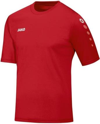 Camisola  TEAM SS JSY 4233-01 Tamanho L