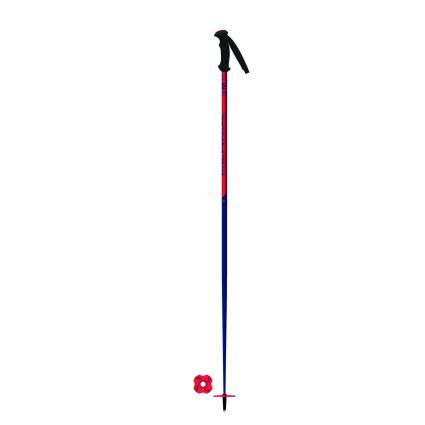 Bastão de ski