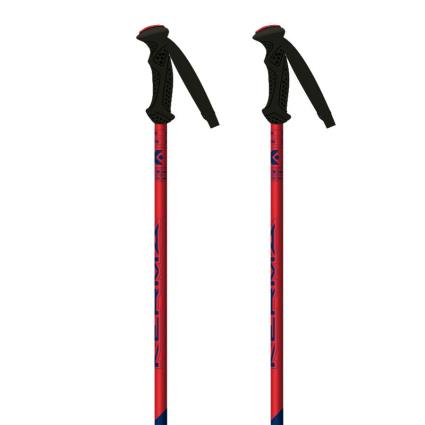 Bastão de ski