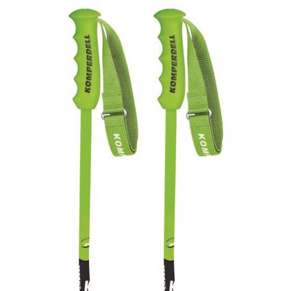 Poloneses Nationalteam Carbon Gs Bent 125 cm Green