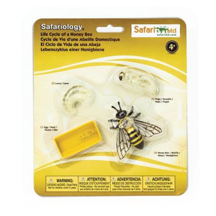 Safari Ltd Ciclo De Vida De Uma Apis From 3 Years Multicolor