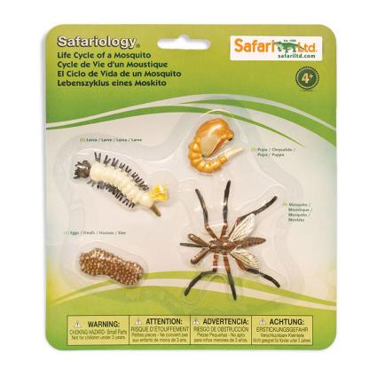 Safari Ltd Ciclo De Vida De Un Mosquito From 3 Years Multicolor