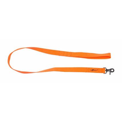 Chumbo Cão Standard One Size Blaze Orange