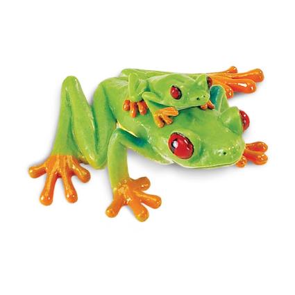 Safari Ltd Rã De Olhos Vermelhos From 3 Years Green