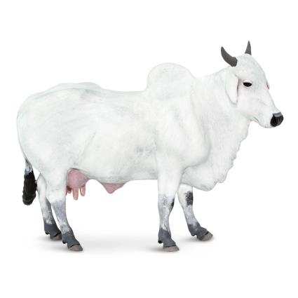 Safari Ltd Boneco De Vaca Ongole From 3 Years White