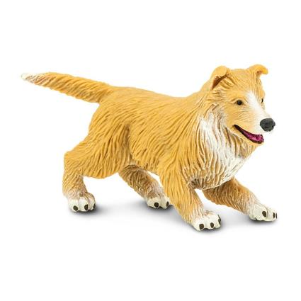 Safari Ltd Boneco De Cachorro Collie From 3 Years Brown / White