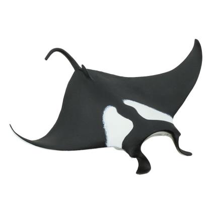 Safari Ltd Manta Ray 2 From 3 Years Black / White