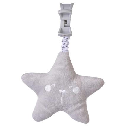 Wild Star One Size Grey