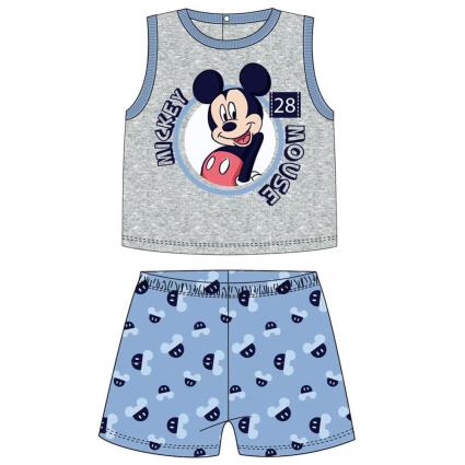 Mickey 24 Months Gray