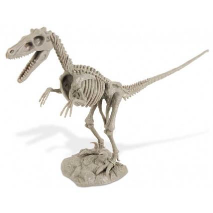 Figura Do Kit De Escavação Velociraptor Dr Steve 6-9 Years Multicolor