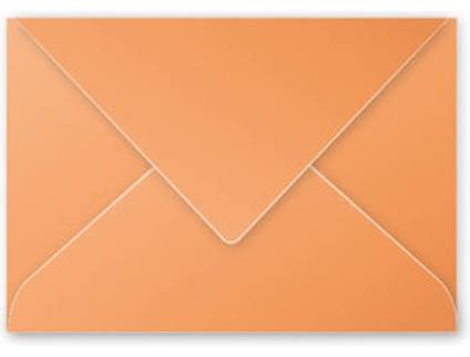 Envelope  5492C