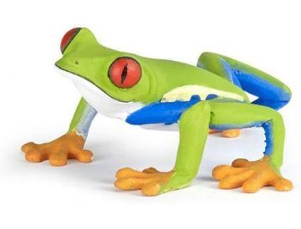 Figura  Rã de Olhos Vermelhos