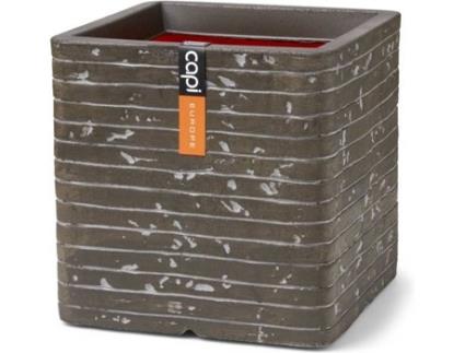 Vaso  Nature Row (Verde - Plástico - 4 x 4x 4 cm)
