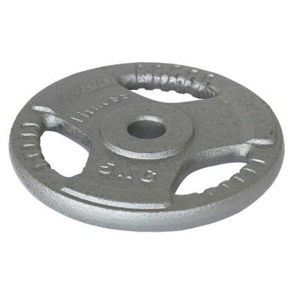 Iron Plates With Handle 2.5 kg Grey